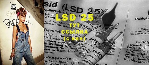 индика Волоколамск