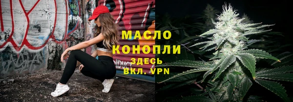 индика Волоколамск