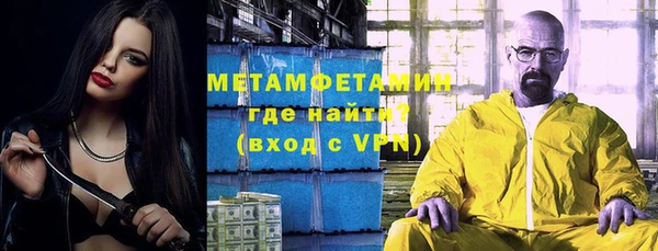 индика Волоколамск