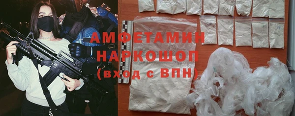 индика Волоколамск