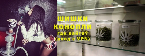 индика Волоколамск
