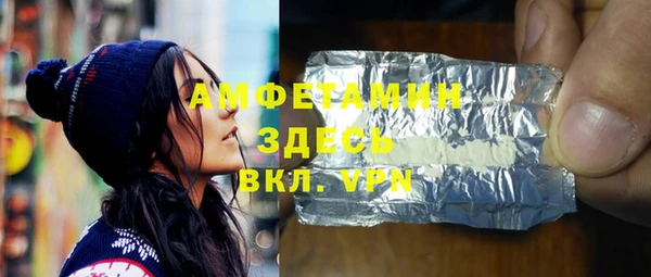 индика Волоколамск