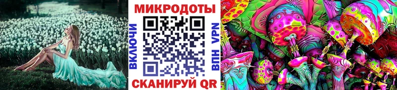 Псилоцибиновые грибы Magic Shrooms  Петропавловск-Камчатский 